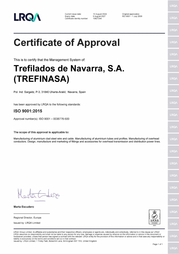 ISO 9001 Trefinasa (ENG)